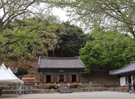 영랑사 썸네일